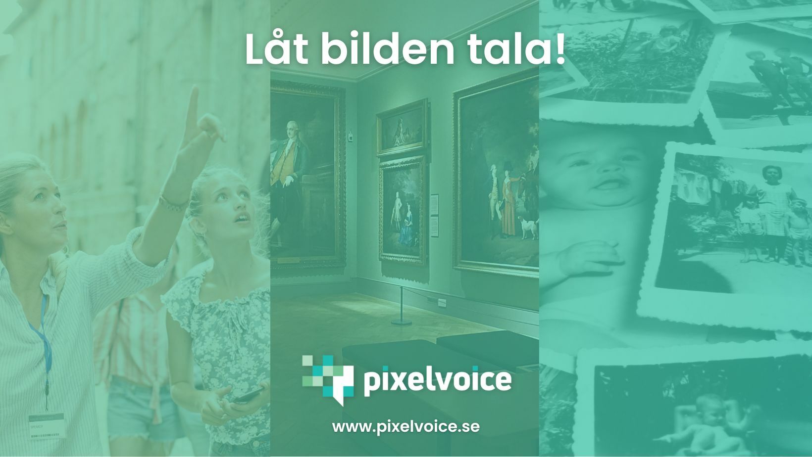 Pixelvoice Image